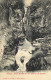 Delcampe - DESTOCKAGE Avant Fermeture Boutique BON LOT 100 CPA ALLEMAGNE  (toutes Scannées ) - 100 - 499 Postales