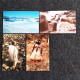 China Postcard Antarctic Life: A Set Of 10 Postcards, Featuring Animal Materials Photographed By Antarctic Explorer Wang - China