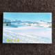 China Postcard Antarctic Life: A Set Of 10 Postcards, Featuring Animal Materials Photographed By Antarctic Explorer Wang - China