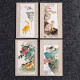 China Postcard 【 Zhu Xiaoyan Paints Cats 】 10 60 Cent Postage Postcards With Traditional Chinese Painting - Cina