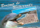 Animaux - Dauphin - Dolphin - Biarritz - CPM - Voir Scans Recto-Verso - Dolfijnen