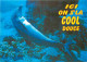 Animaux - Dauphin - Dolphin - Carte à Message - CPM - Carte Neuve - Voir Scans Recto-Verso - Dauphins