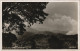 Postcard .Tansania DSWA Tansania Tanzania Usambara Mountain 1930 - Tansania