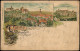 Litho AK Hohnstein (Sächs. Schweiz) Stadt, Bärengarten - Gruss Aus 1901 - Hohnstein (Sächs. Schweiz)