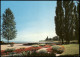 Ansichtskarte Kreuzlingen Panorama-Ansicht Seepark See Blick Park 1960 - Autres & Non Classés