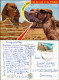 Ägypten (allgemein) Ägypten (Allgemein) Antike Bauten, Pyramide, Kamel 1979 - Other & Unclassified
