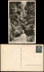 Ansichtskarte Wehlen Uttewalder Grund 1939 - Wehlen