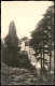 Ansichtskarte  Sandsteinfelsen, Farne - Fernsicht 1940 - Zu Identifizieren