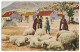 MUN 1 - 5041 Shepherds, Montenegro - Old Postcard - Unused - Montenegro