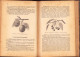 Delcampe - A Gyümölcstermesztés Kézikönyve Irta Mohácsy Mátyás 1936 687SPN - Livres Anciens