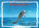 Animaux - Dauphin - Dolphin - Carte à Message - CPM - Carte Neuve - Voir Scans Recto-Verso - Dolphins