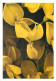 Fleurs - Carte Studio Marcel - CPM - Voir Scans Recto-Verso - Fleurs