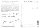 Sequences Estivales Au Touquet Paris Plage 22(scan Recto-verso) MC2453 - Le Touquet