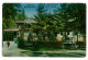 RO 35 - 903 POIANA COBILEI, Maramures, Romania - Old Postcard - Unused - Roumanie