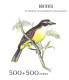 Argentine Football Oiseaux Passereaux Tyran Kamichi Merle Chardonneret Birds Finch Vögel Aves Chaja Uccelli ** 1972 50€ - Pájaros Cantores (Passeri)