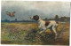 CHASSE CHIEN SETTER PERDRIX ILLUSTRATEUR 1913 CPA SIGNEE 2 SCANS - Andere & Zonder Classificatie