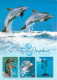 Animaux - Dauphin - Dolphin - CPM - Voir Scans Recto-Verso - Dolfijnen