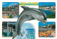 Animaux - Dauphin - Dolphin - Juan Les Pins - Multivues - CPM - Voir Scans Recto-Verso - Delphine