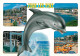 Animaux - Dauphin - Dolphin - Juan Les Pins - Multivues - CPM - Voir Scans Recto-Verso - Delfines