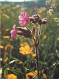 Fleurs - CPM - Voir Scans Recto-Verso - Bloemen