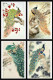 China Postcard Peacock Postcards From A Famous Chinese Painting Artist 8 Pcs - Chine