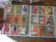 Delcampe - Panini Album + Autocollants  South Africa 2010 - Edizione Inglese