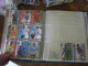 Delcampe - Panini Album + Autocollants  South Africa 2010 - Edizione Inglese