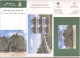 Palestine 2023- The Oldest Olive Tree Flyer & Postcard (English And Arabic) - Palestine