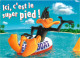 Bandes Dessinées - Looney Tunes - Daffy Duck - Illustration - Carte Neuve - CPM - Voir Scans Recto-Verso - Cómics