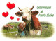 Animaux - Vaches - Carte à Message Humoristique - Haute Saone - CPM - Voir Scans Recto-Verso - Kühe