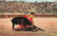 D4539 Corrida - Corridas