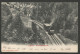 Carte P De 1908 ( Rigibahn / Schnurtoelbrücke ) - Trains