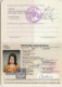 Passeport,passport,pasaporte, Reisepass,Macedonia - Visas... - Historical Documents