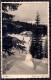 546 - Slovenia - Pokljuka - Hotel "Sport" 1938 - Postcard - Slowenien