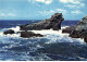 56 BELLE ILE EN MER AA#DC792 POINTE DES POULAINS LE ROCHER DU CHIEN - Belle Ile En Mer