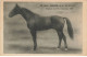 SPORTS AD#MK268 RE MAC GREGOR A M BEAUVOIS GAGNANT DU PRIX D AMERIQUE 1925 HIPPISME CHEVAL - Horse Show