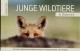 PM  Marken Heft Mit 8 Verschiedenen Marken Junge Wildtiere In Österreich   Lt. Scan Postfrisch - Personalisierte Briefmarken