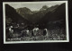 Österreich: AK Von Risch-Lau (Bregenz) Im Montafon Mit Frauen Bei Der Heuernte V. 15.7.1938 Mit 6 Pf Hindenburg Knr. 516 - Bregenz