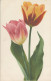 PC38928 Old Postcard. Tulips. Gesetzlich Geschutzt. Rommel. No 544. B. Hopkins - Wereld