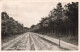 PAYS-BAS - Laag Soeren - Imbbschweg - Vue Sur Une Route - Vue Générale - Carte Postale Ancienne - Rheden