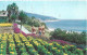 Etats-Unis - Carte Postale - Laguna Beach, California - Autres & Non Classés