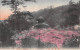 KAMAKURA - DAIBUTSU - JAPAN ~ AN OLD POSTCARD #240579 - Autres & Non Classés