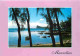 Ile Maurice - Le Coin De Mire Vu De Bain Boeuf - CPM - Voir Scans Recto-Verso - Maurice