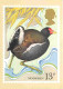 Animaux - Oiseaux - Dessin - Moorhen - Reproduced From A Stamp Designed By Michael Warren - Reproduction De Timbre - CPM - Birds