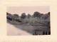 ALPES LAC D'ALLOS 1957 ALPINISME  PHOTO ORIGINALE  11 X 8 CM - Plaatsen