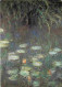 Art - Peinture - Claude Monet - Les Nymphéas Le Matin - CPM - Voir Scans Recto-Verso - Pintura & Cuadros