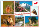 Animaux - Marmottes - Multivues - CPM - Voir Scans Recto-Verso - Andere & Zonder Classificatie