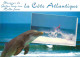 Animaux - Dauphin - Dolphin - Carte à Message - CPM - Carte Neuve - Voir Scans Recto-Verso - Dolfijnen