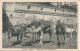 PC40426 Tanger. Maroc. Caravane De Chameaux. S. J. Nahon. B. Hopkins - Monde