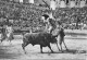 CPSM - CORRIDA DE TOROS - Picador En Action -Une Bonne Pique - Taureaux